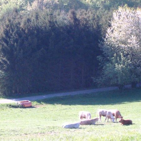 Ferienwohnung Erika Wimbach 外观 照片