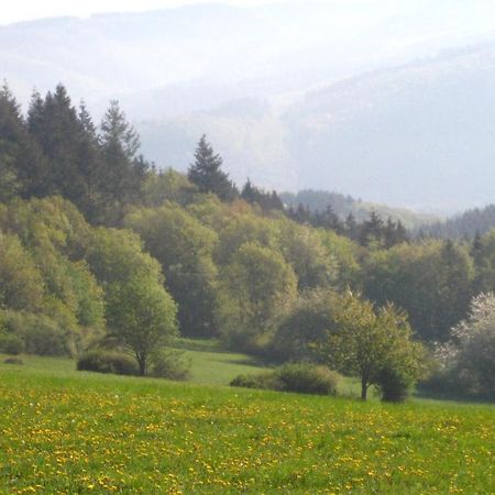 Ferienwohnung Erika Wimbach 外观 照片