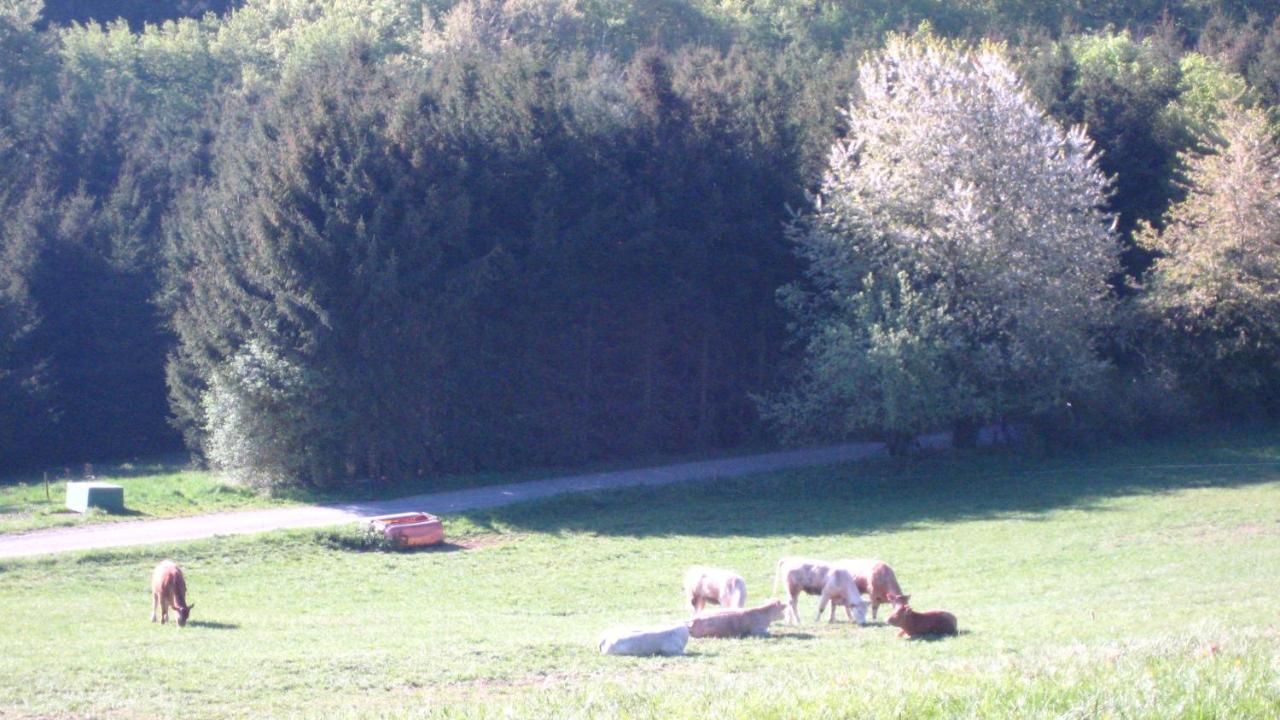 Ferienwohnung Erika Wimbach 外观 照片