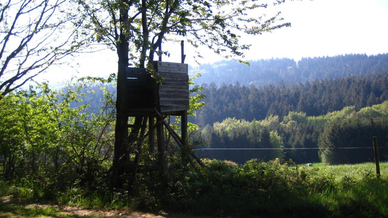 Ferienwohnung Erika Wimbach 外观 照片